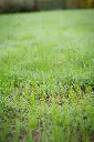 DSC_4886.webp