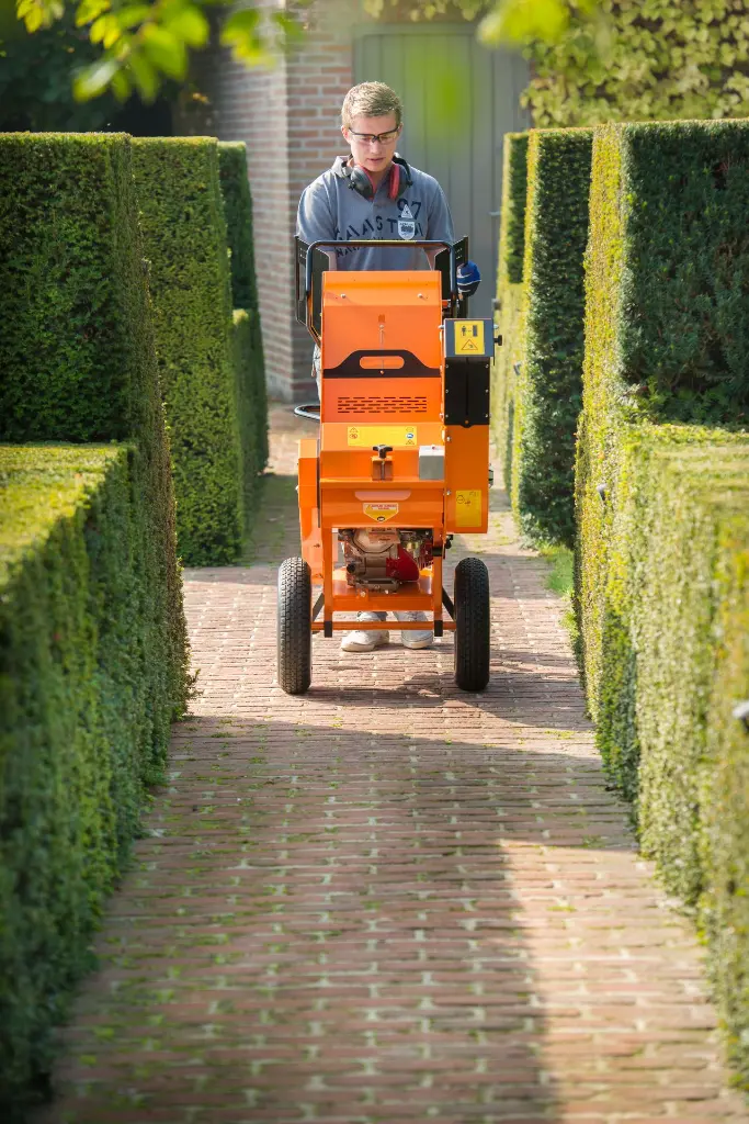 DSC_4220.webp